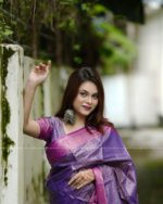 Kanchipuram Soft Silk Katan Saree Sequence Design- Blue - Image 4